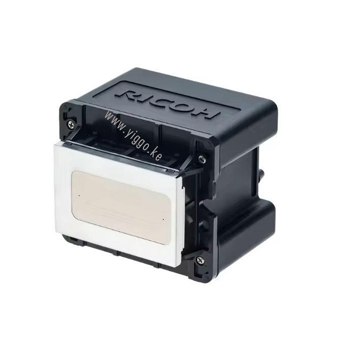 Ricoh Print Head - Image 1